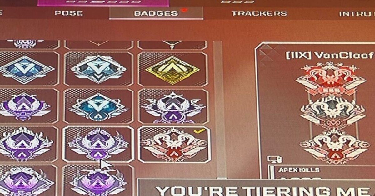 XIM MATRIX コントローラーコンバーター 本田翼様