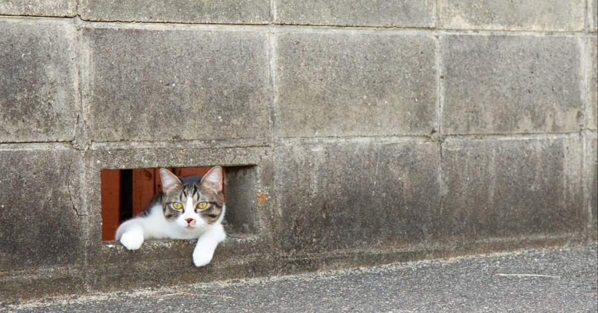 c20ab13c122720a2f23dc820339f48