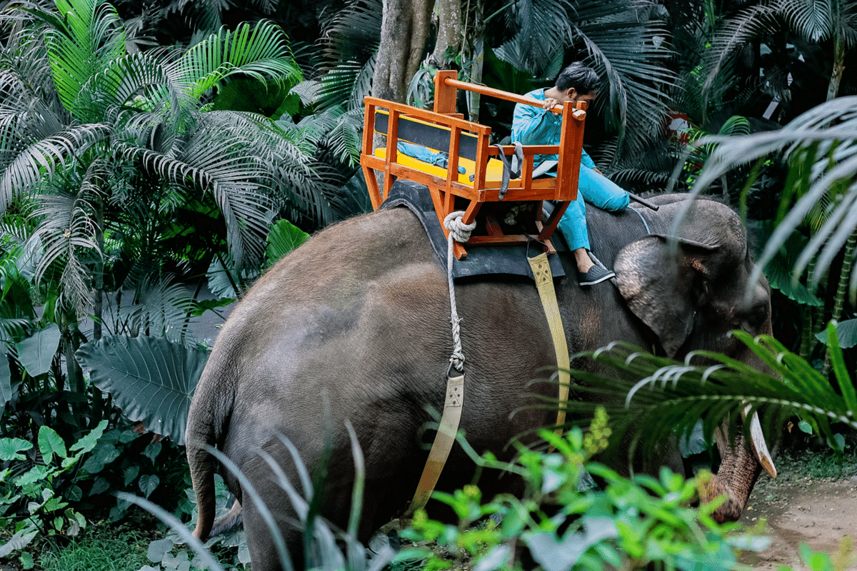 バリゾウ バリゾウの石像 パラスストーン手作り彫刻 高さ22cm重量12.5