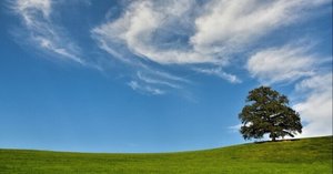 短歌) 冬こそ読みたい、木俣修の世界｜樹山 瞳