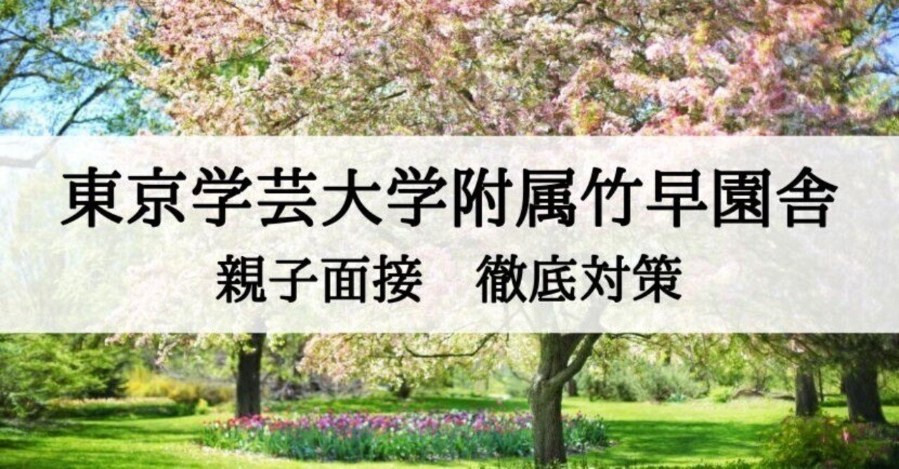 東京学芸大学附属幼稚園竹早園舎　合格セット　2025年度版 東京学芸大学附属幼稚園竹早園舎 合格セット 2025年度版 その他
