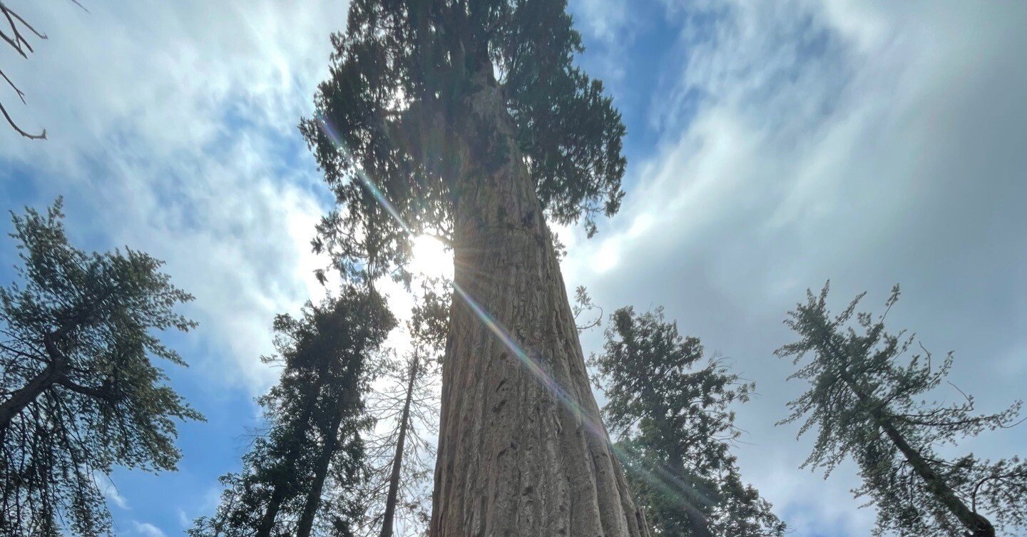 ba17968aed5d96377f8254845983fe