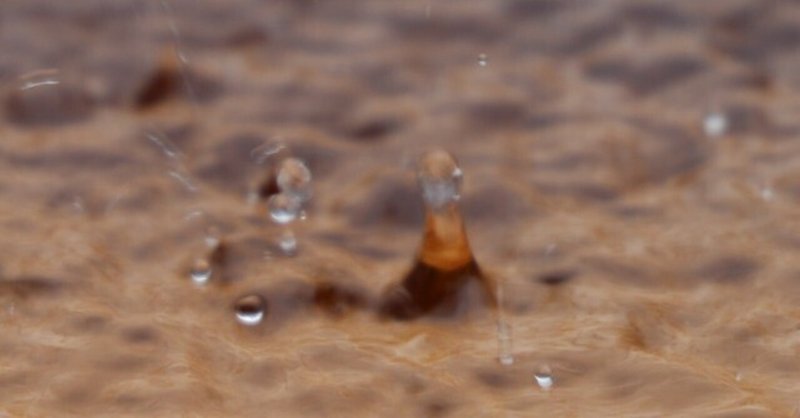 酒樽で睡蓮を育てよう(2) 雨の水紋
