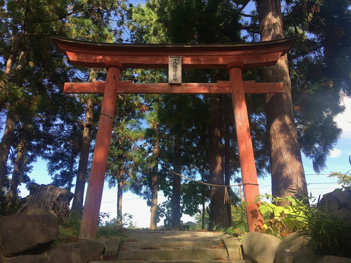 画像4