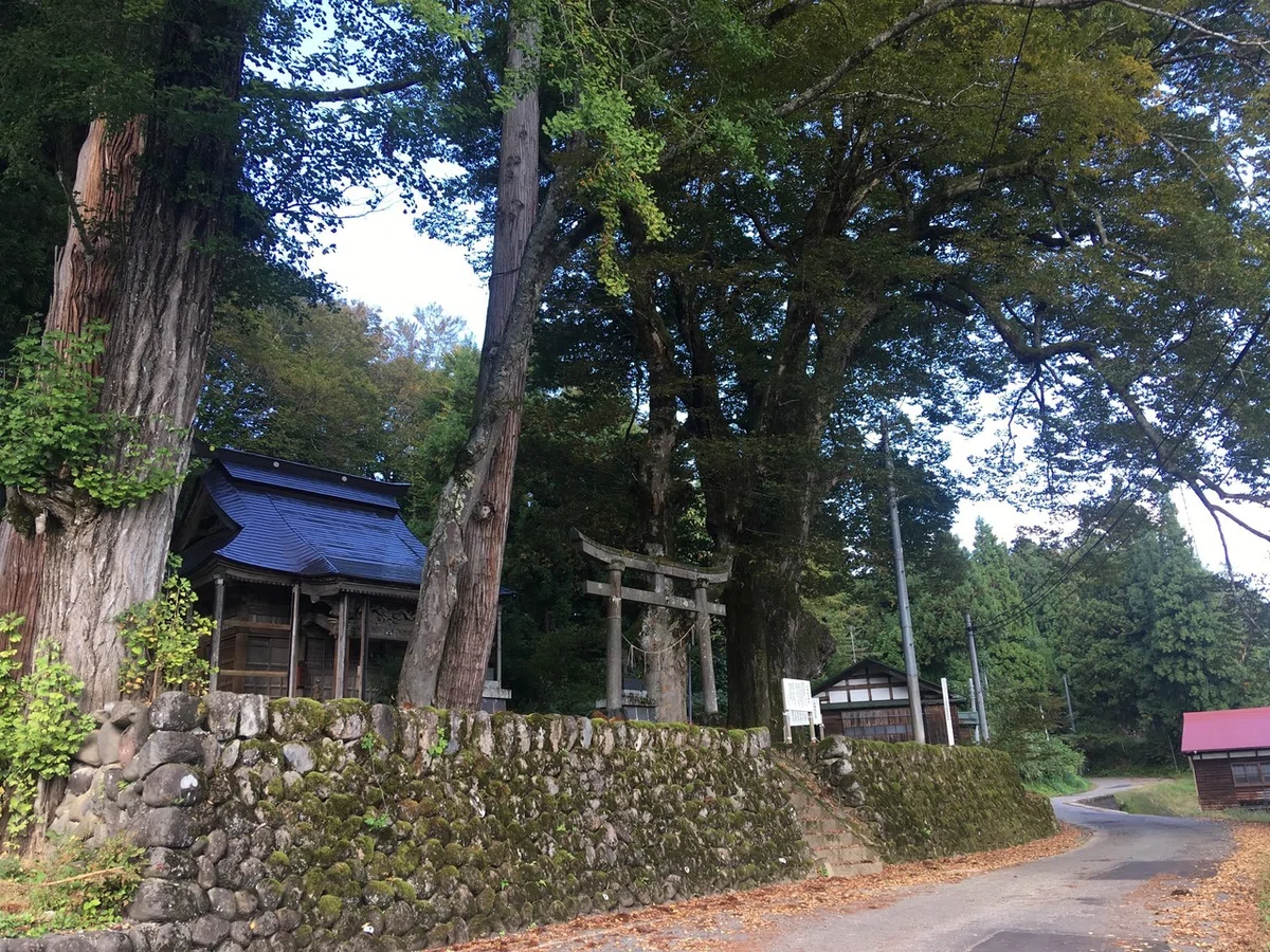 画像8