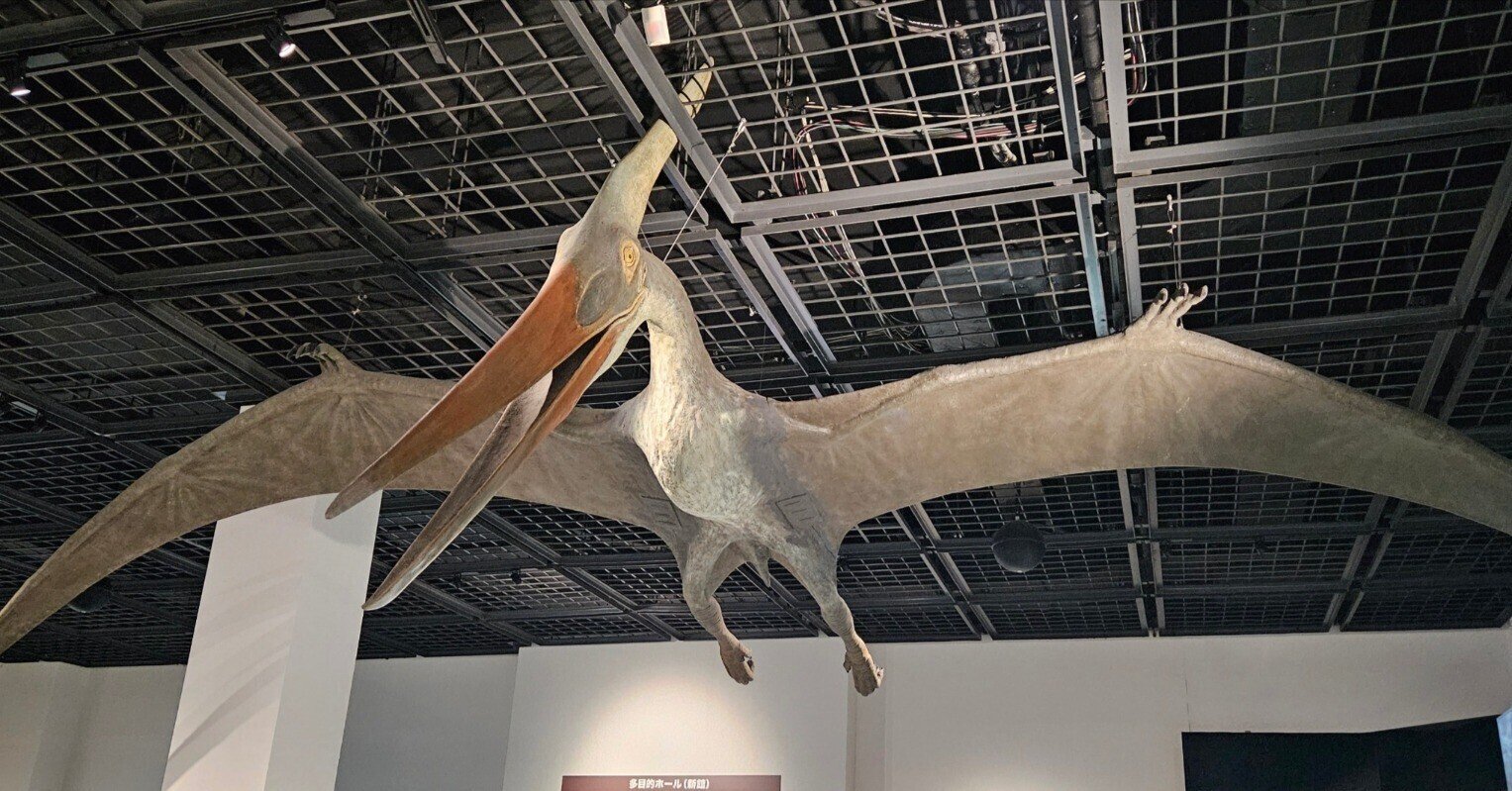 【goodtaniku】翼竜　プテラノドン　OC goodtaniku】翼竜 プテラノドン OC goodtaniku