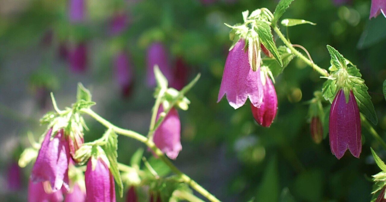 rectangle_large_type_2_7526856  