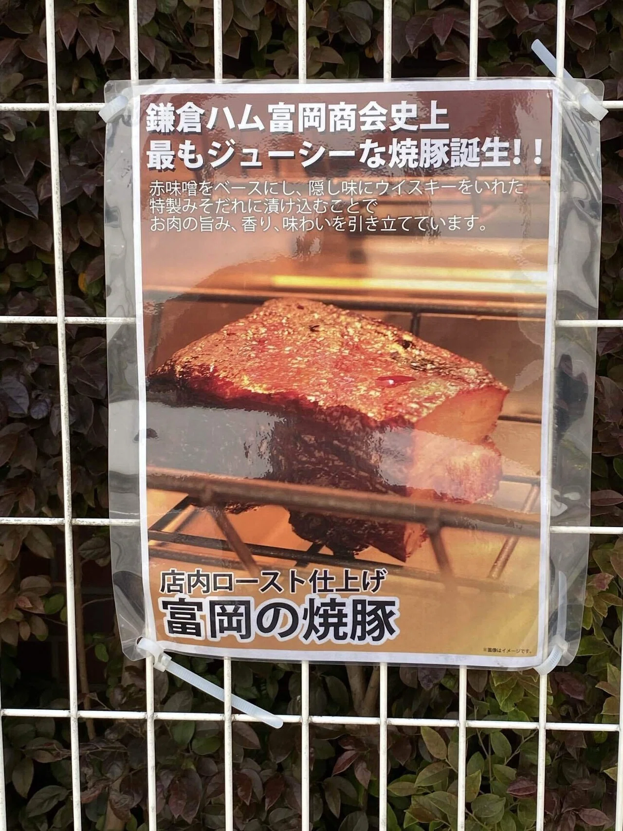 お気に入り 鎌倉ハム モリック