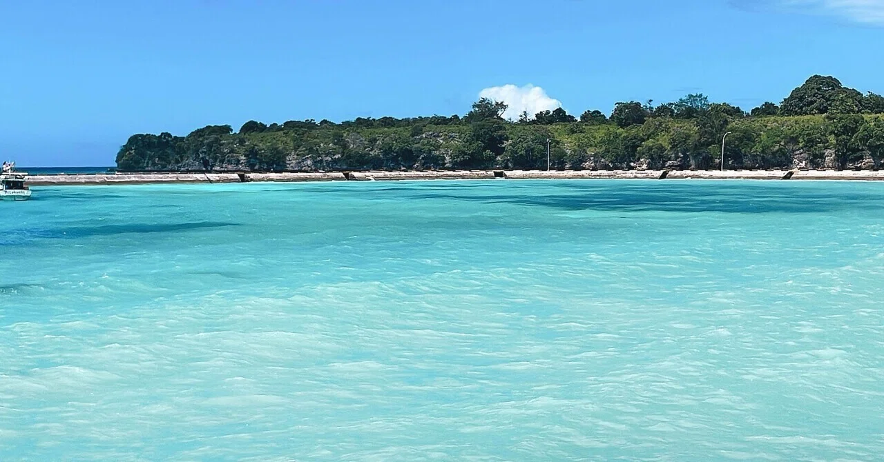 スラヤール旅#D3】エメラルドグリーンの楽園で亀に遭遇｜スラウェシ島