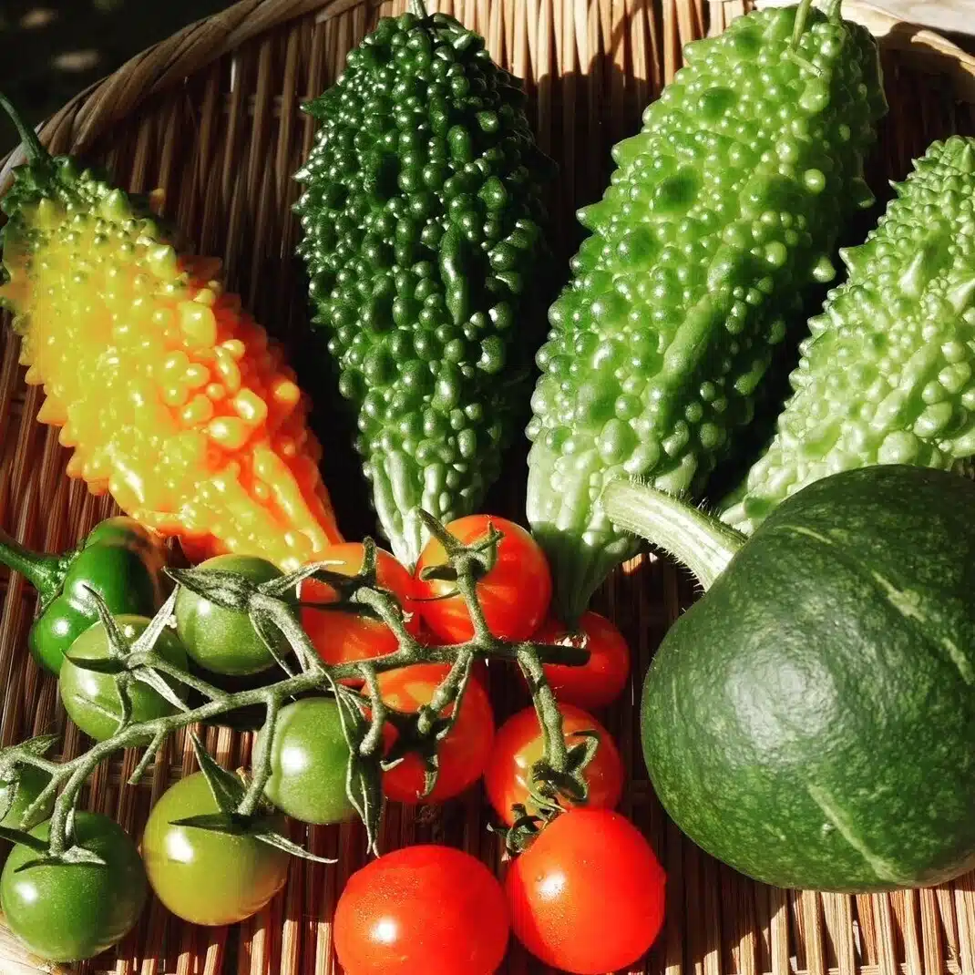 人とまちと自然をつなぐ コンポストのある暮らし ー いろいろなコンポストをたずねて
