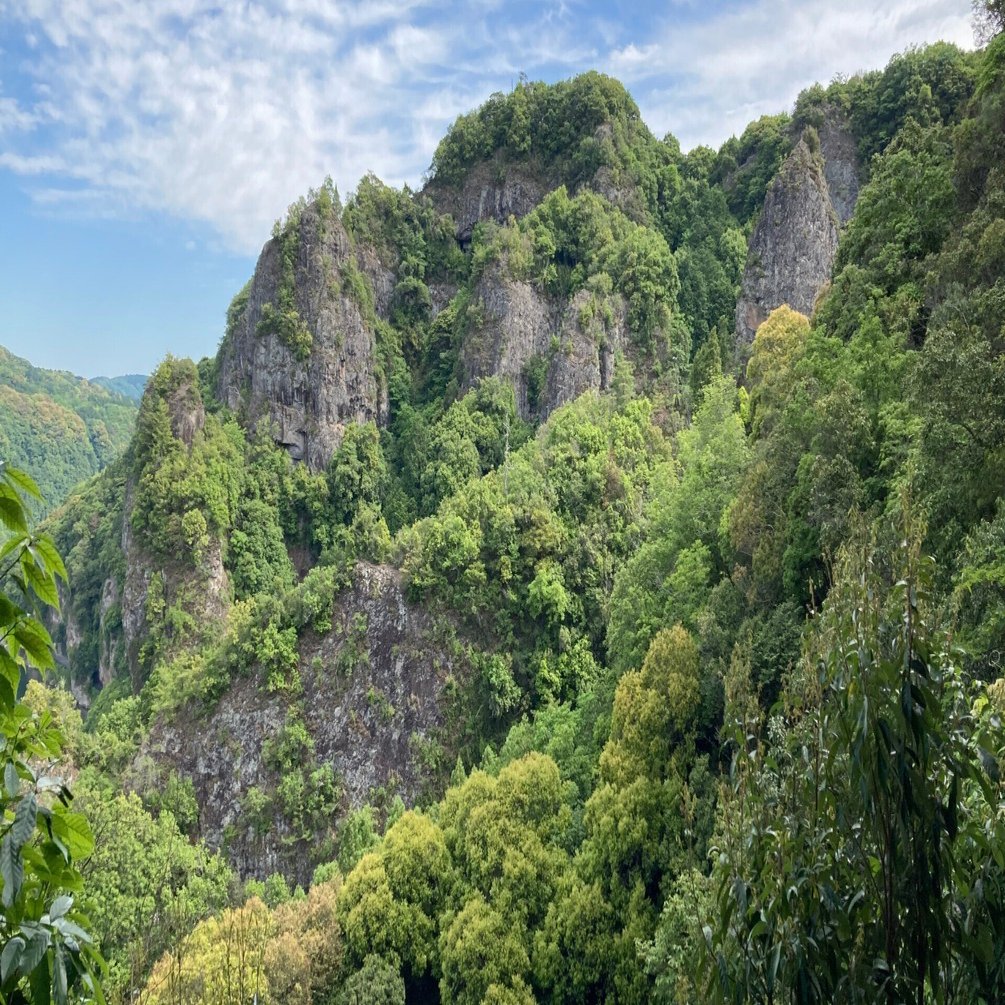 よっちゃんの山日記No1584その2耶馬渓競秀峰巡り｜させぼ山酔倶楽部