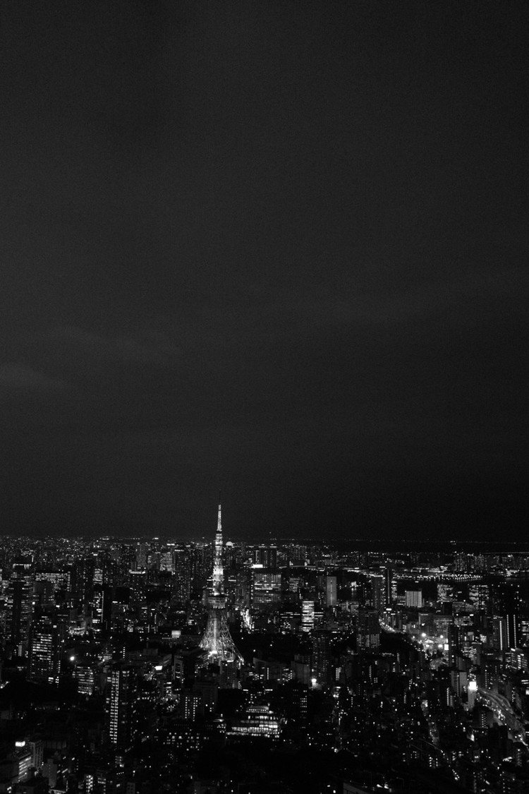 宝石箱をモノクロームで撮ってみた

#写真 #東京タワー #モノクローム #スカイデッキ