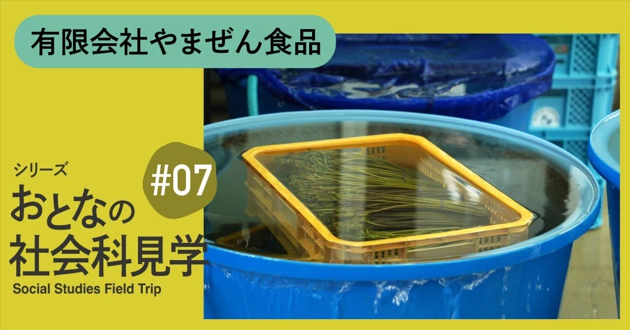 真工房様専用 山菜 楽天市場】【マラソン期間限定9月24日まで