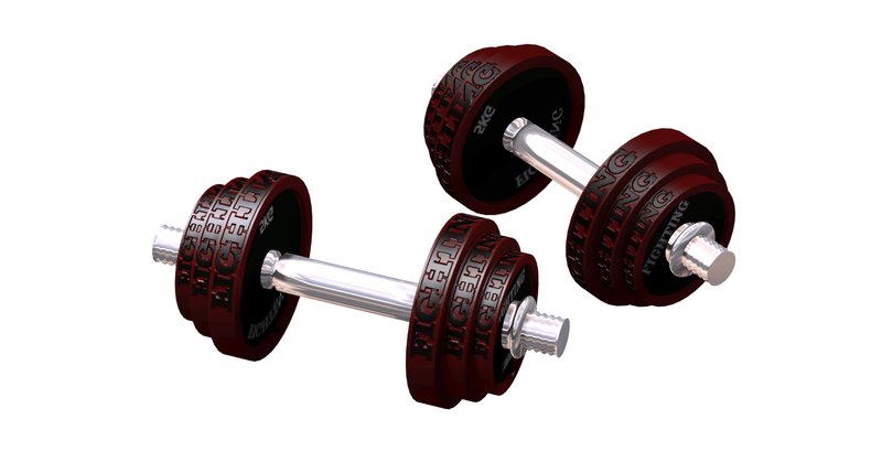 IROTES FIGHTING トレーニングベンチ ダンベル パワーラック FIGHTING