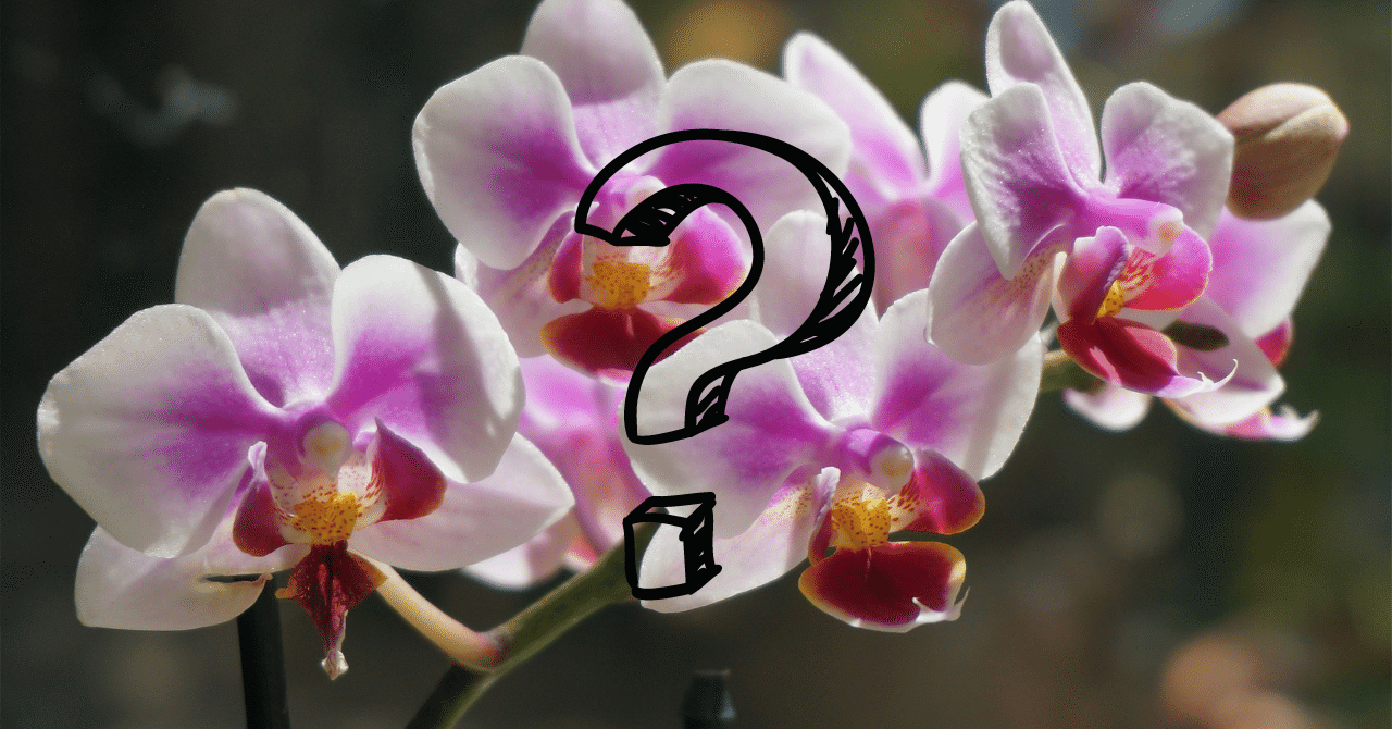 C66-122 科学大観 第18号 植物特集 世界文化社 全体的に汚れ