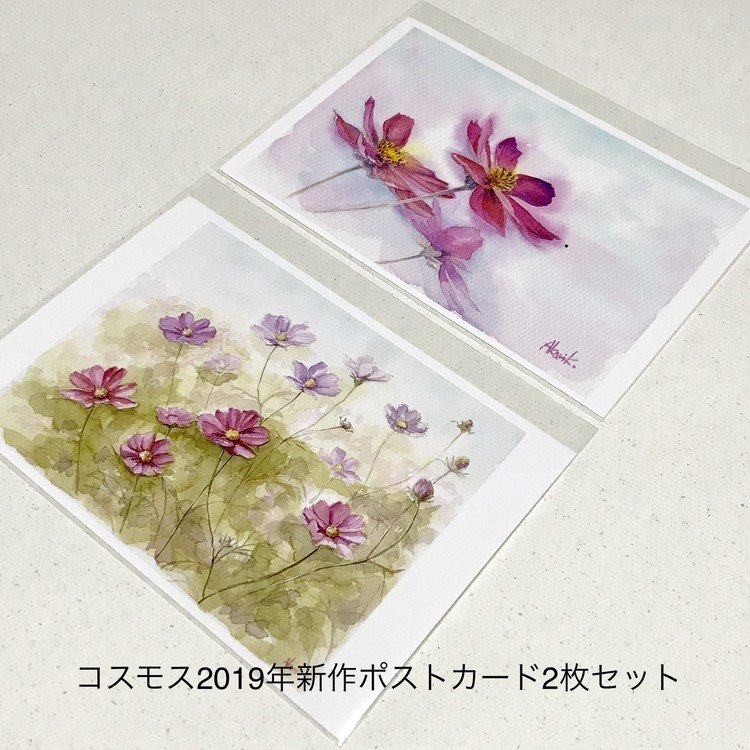 2019年秋の新作、コスモスのポストカード「どこまでも」「コスモス畑」2枚セット。空に向かって咲き誇る感じなのが気に入ってます。　　https://takaranya.booth.pm/items/1547716