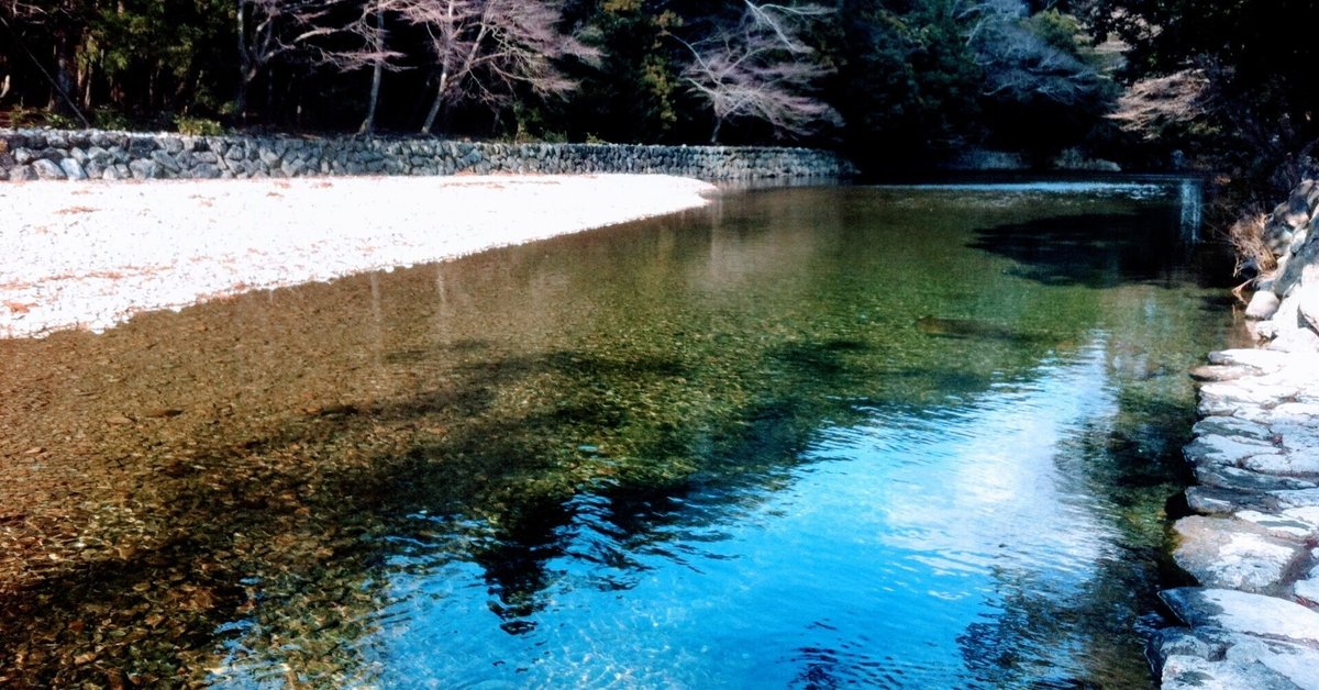 伊勢の神宮　神の住む杜　心のふるさと　12ヶ月 伊勢の神宮 神の住む杜 心のふるさと 12ヶ月 （伊勢神宮と神々ー