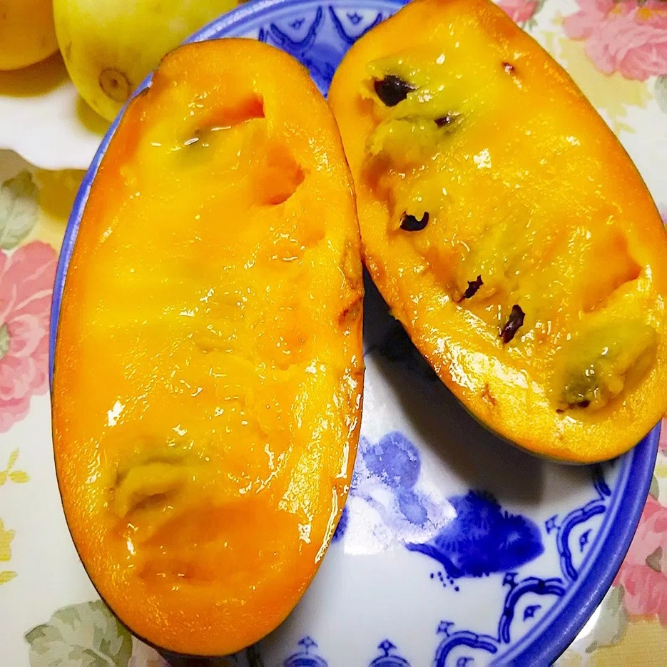 完熟した幻の果物 ポポー ほんとに美味しそう スー Note