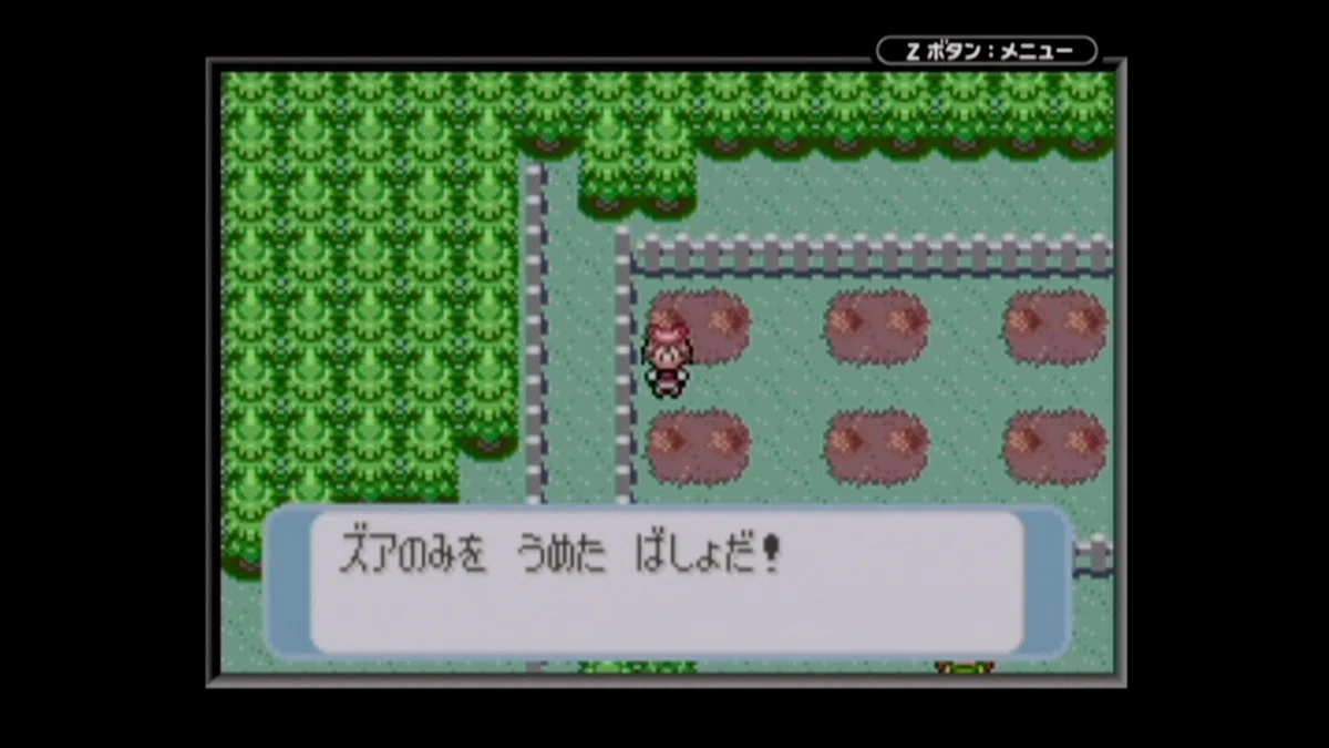 画像7