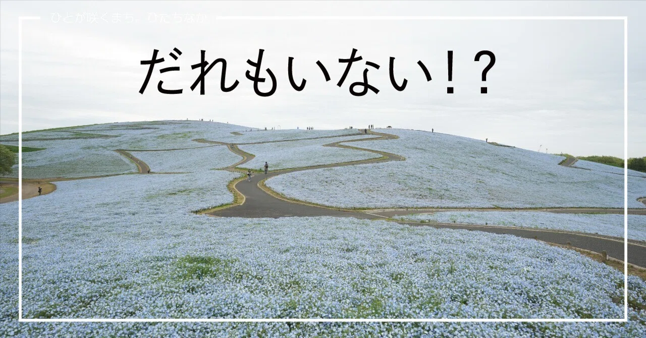 ネモフィラ早期満喫観賞体験に密着【ひたちなか30th】｜ひたちなか市