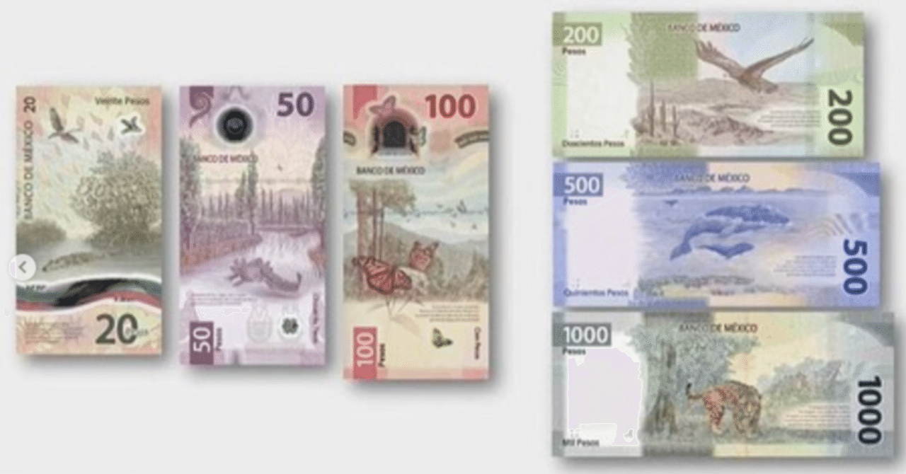 メキシコの通貨｜在日メキシコ大使館