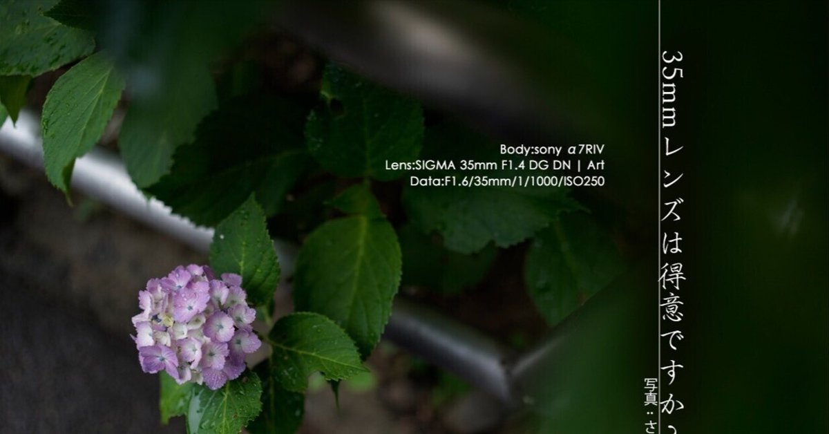 SIGMA 35mm F1.4 Canon EFマウント 紫陽花撮影ポートレート 紫陽花 x ポートレート x 鎌倉 #006 by シンイチロウ （ID
