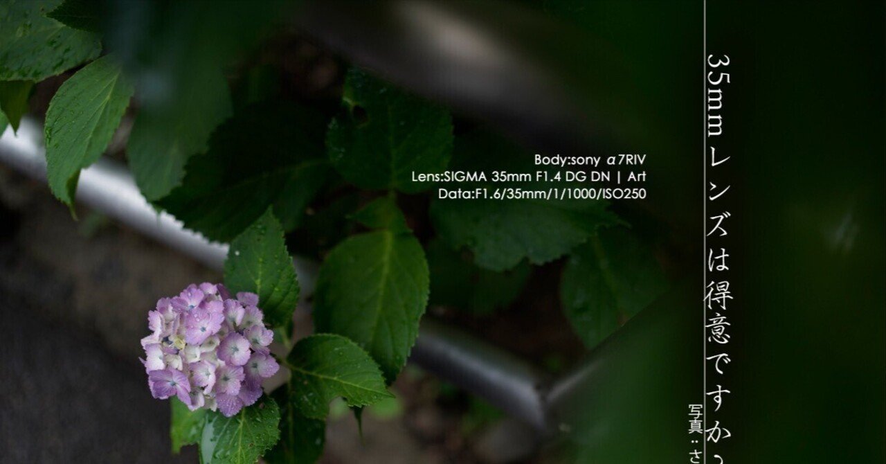 35mmレンズは得意ですか？ SIGMA 35mm F1.4 DG DN | Art 作例