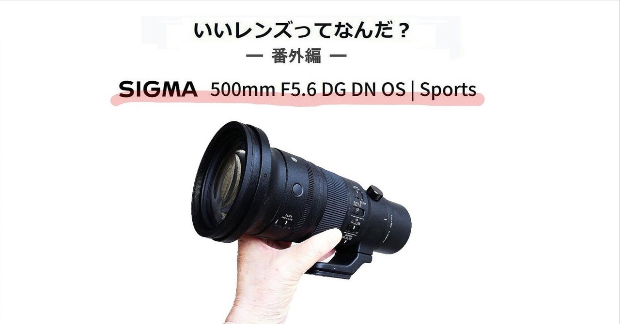 □番外編□② SIGMA 500mmF5.6 DG DN OS | Sports｜thisistanaka