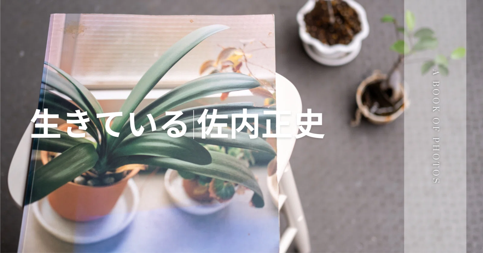 生きている|佐内正史｜キートン福永|keaton_fukunaga