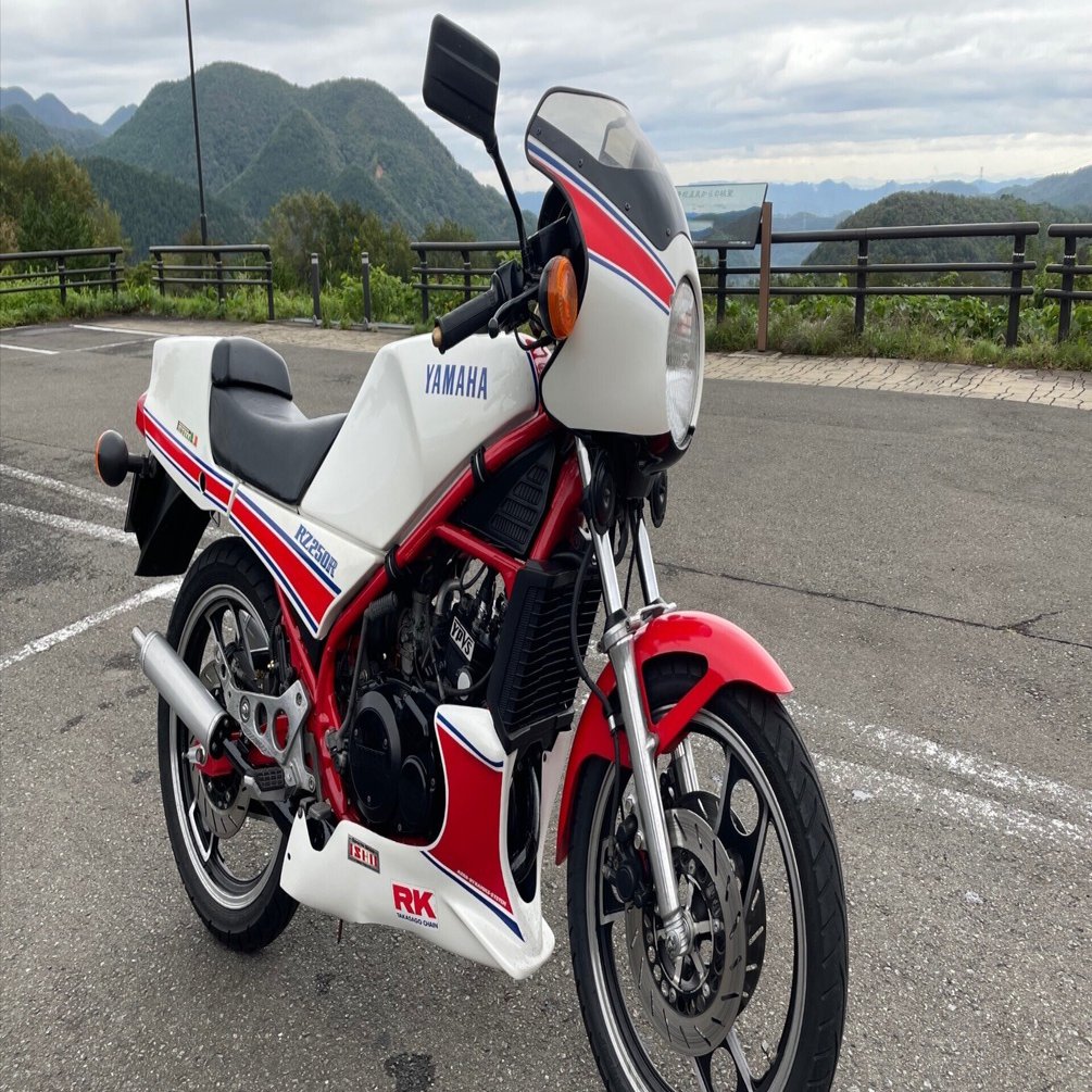 rz250r 29L 車体 RZ250R【29L】（1983年2月） - 「最後になるはずだったこの1台が2