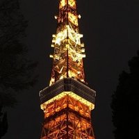 女性のための 便活 心得 コーラック50錠服用という どん底便秘 からの克服 港区1kコンビニ飯男 Note