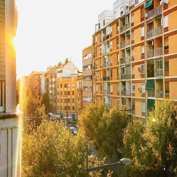 スペインの街バレンシアが住むのに最高の理由を語りたい という飼い主さんの話 旅するチキン Note