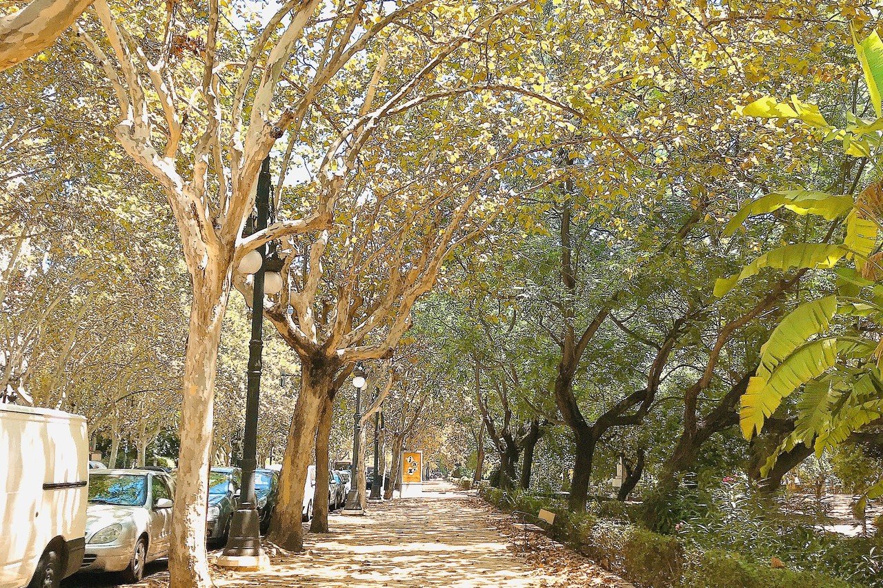 スペインの街バレンシアが住むのに最高の理由を語りたい という飼い主さんの話 旅するチキン Note スペインの街バレンシアが住むのに最高の理由を語りたい という飼い主さんの話 旅するチキン Note