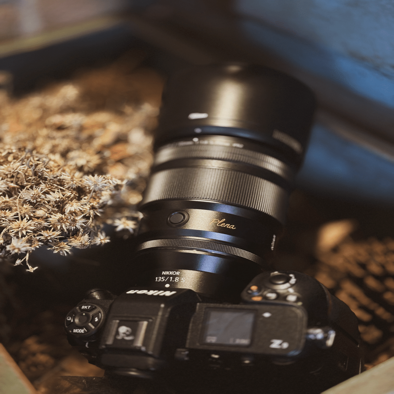 私がPlena【NIKKOR Z135mm f/1.8S】を買った理由｜Alice_photolog