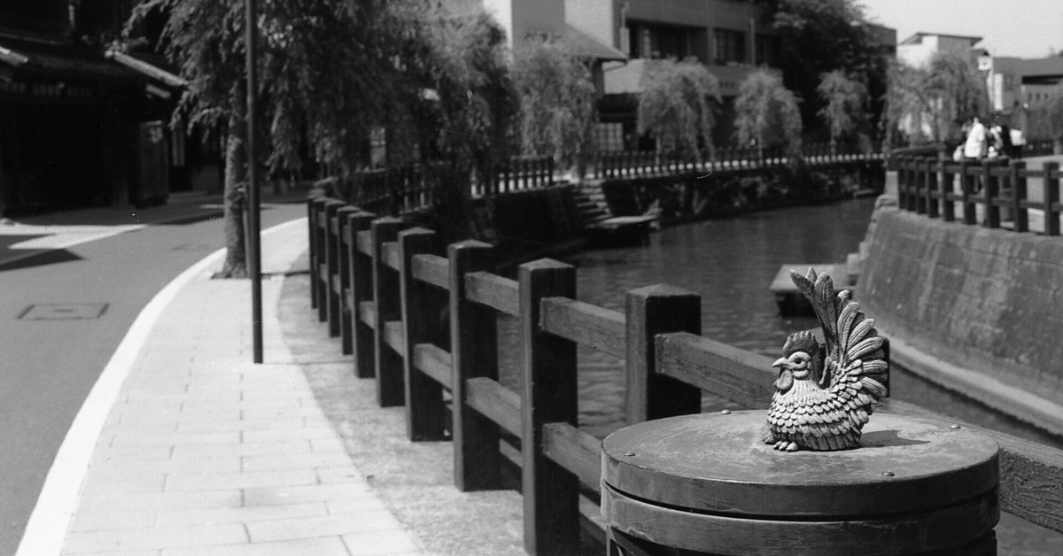 ASAHI PENTAX SPFで撮ってみた【作例あり】：フィルムカメラで