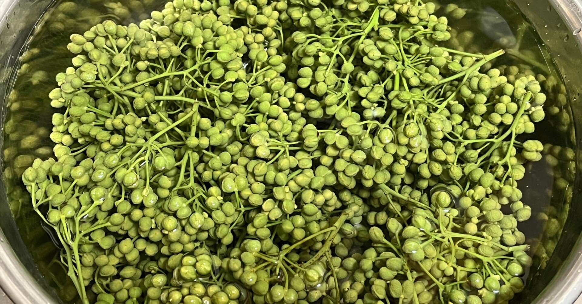 86ce2c3a9c9f7040ef92cbe879f886