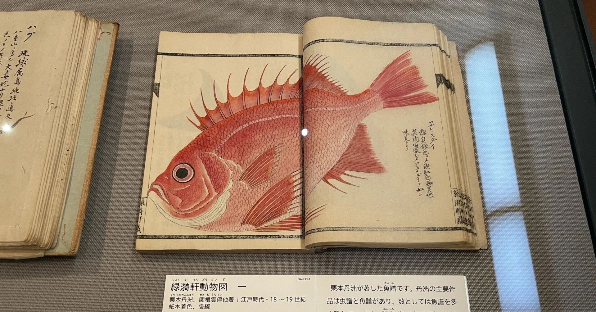 すごい博物画 等細密画図書８冊揃 博物図譜いろいろ その2 トーハク編 増山雪斎・栗本丹洲 東京国立