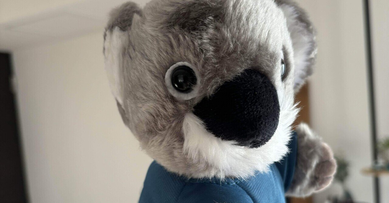 コアラマットレスを購入しました🐨｜naoh_ou
