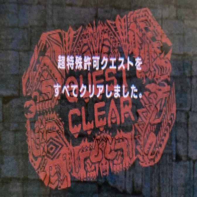 全超特殊+姉御バルクをソロ制覇しました モンハンダブルクロス/MHXX｜まめ