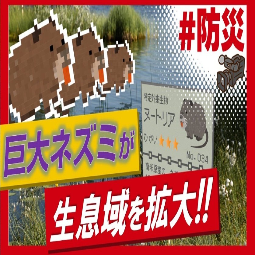 生息域拡大！水辺の巨大ネズミ～大阪府～｜J:COM地域取材ノート