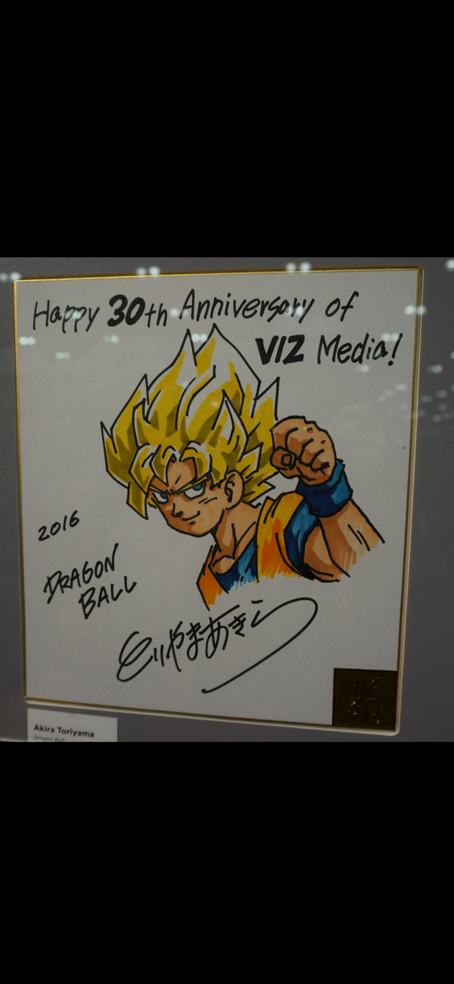 偽物サイン冨樫義博.椎名高志.江口寿史.横山武一.高橋和希.秋元治.武井