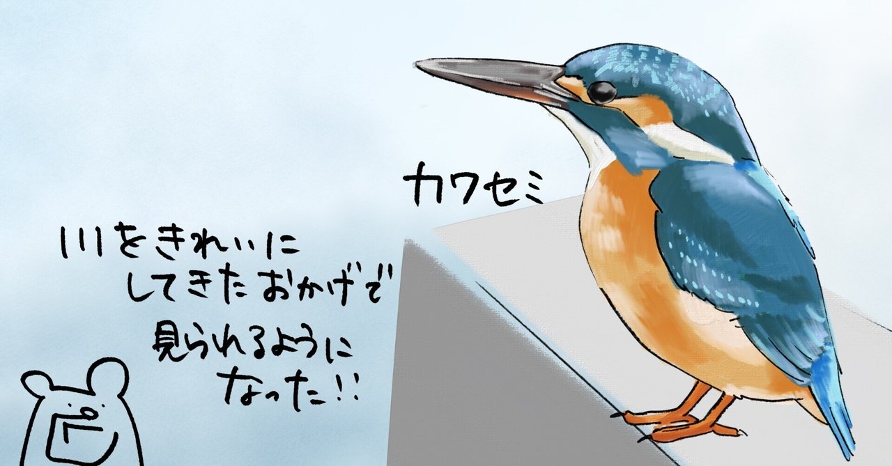 用水路の青い宝石|カワセミ|くますけ|自然ガイド・クリエイター 用水路の青い宝石|カワセミ|くますけ|自然ガイド・クリエイター