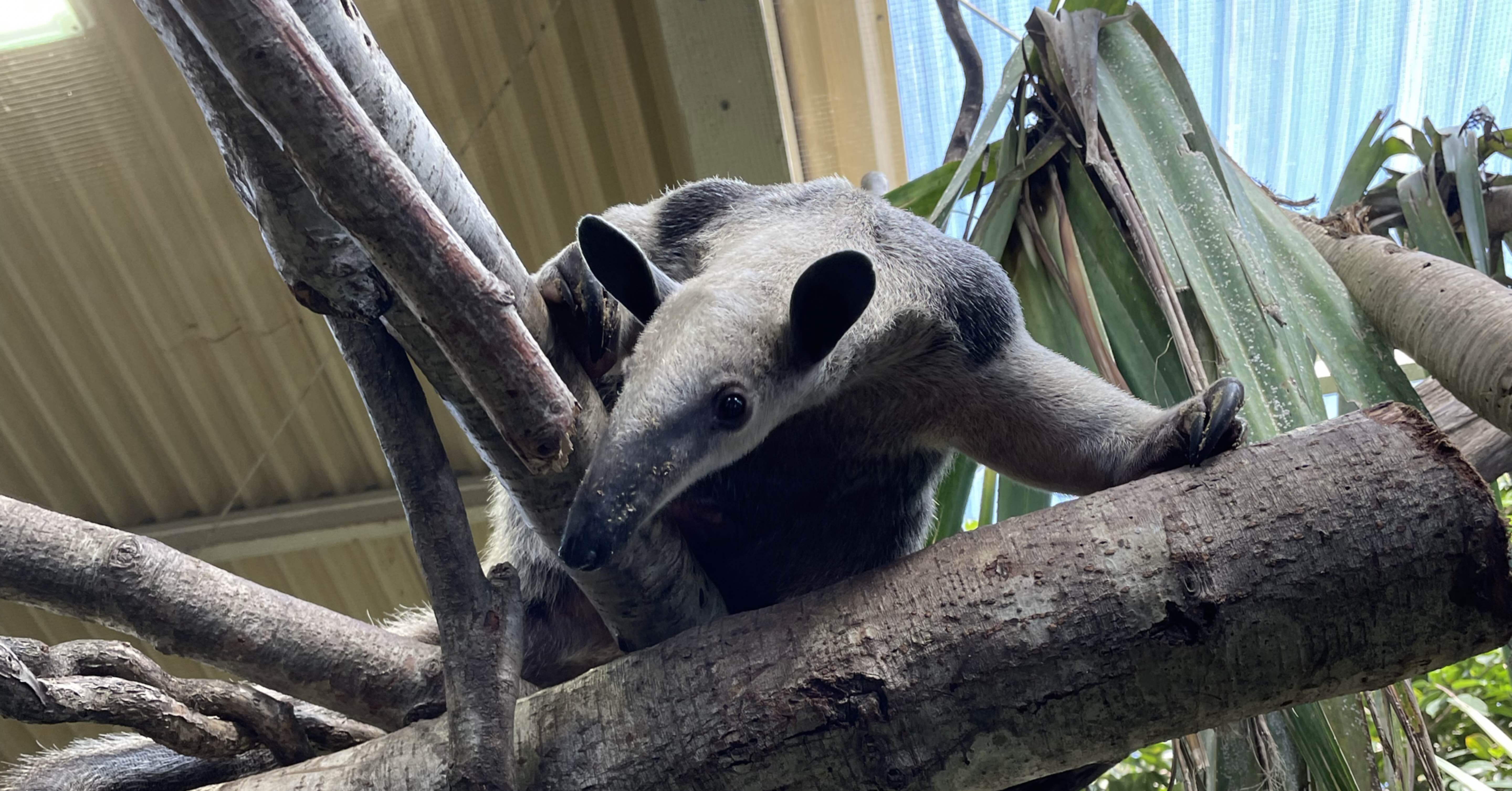 82df1ca35bc22186ee2ef03305ba5c