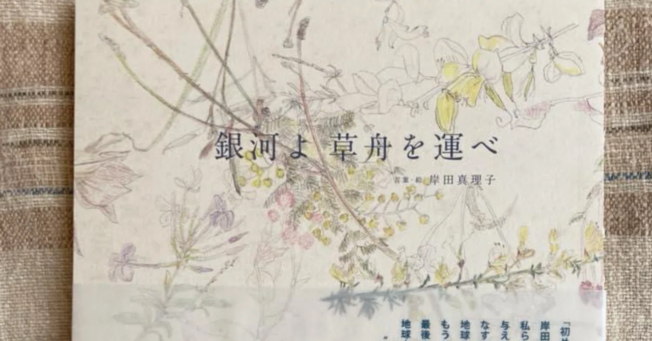 岸田真理子sunの詩集のこと｜imacocosika