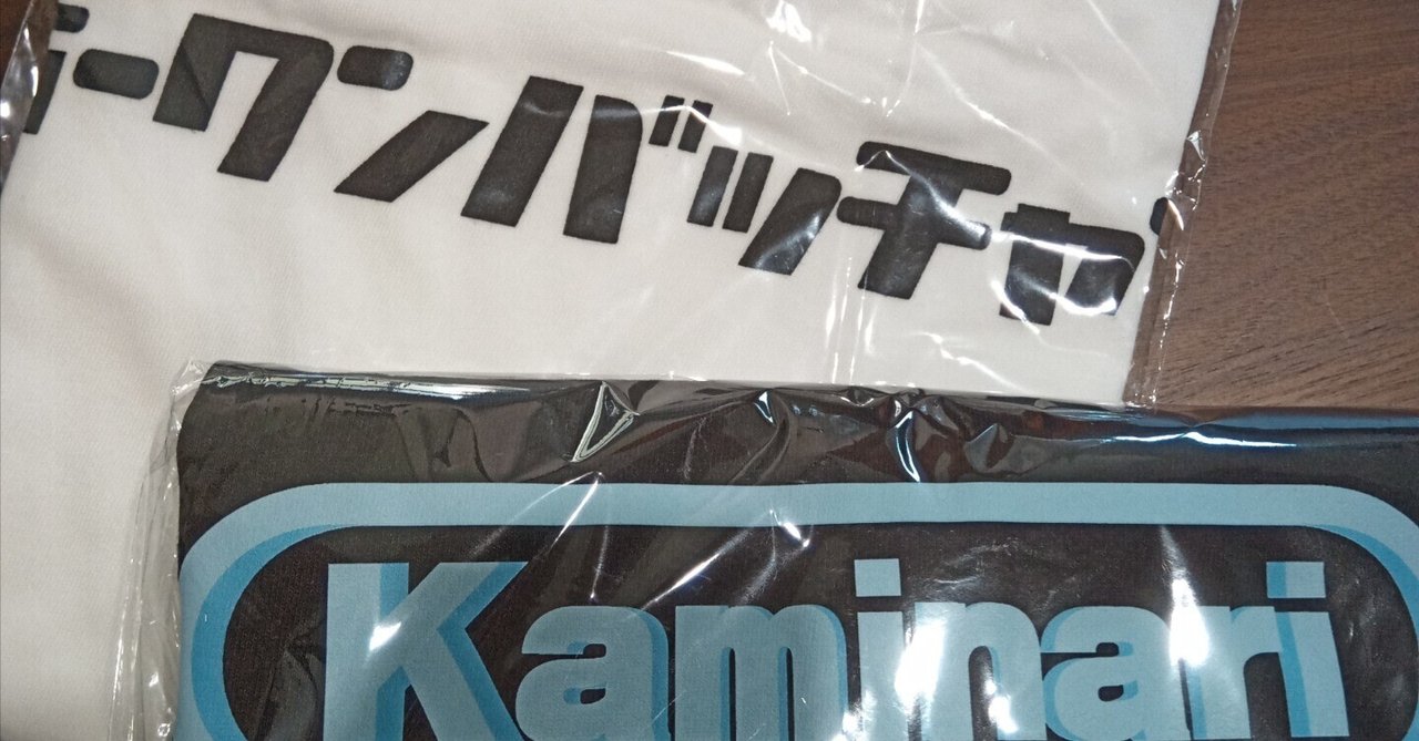 カミナリの記録ライヴ デビッド・ワイズ ロンT 記録ゲームA XL 感想3500字】カミナリの記録ライヴ～素晴らしきデビッド・ワイズ