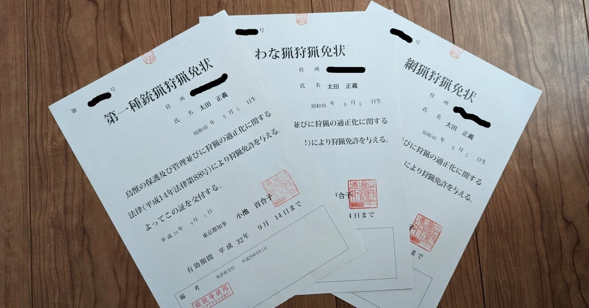 活動歴および当時の関連ビジュアル記録