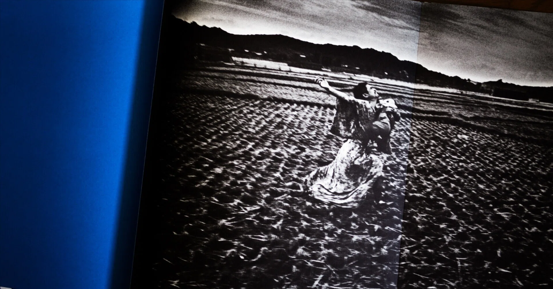 山河令 写真集 江湖記実録 2冊の写真集：「鎌鼬」と「 センチメンタルな旅」｜kimura noriaki
