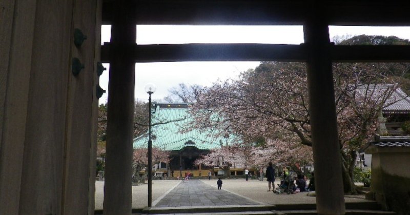 01__浄土宗大本山_天照山蓮華院_光明寺__＿_鎌倉市材木座