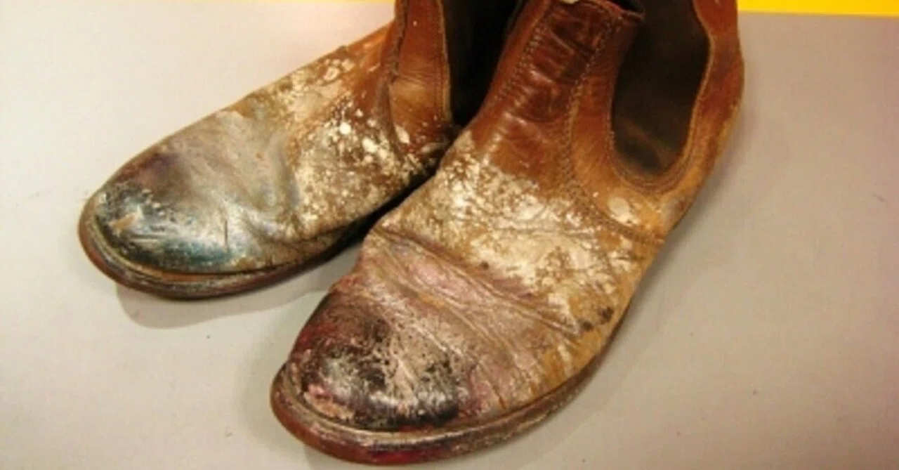 おかえりなさい】Red Wing#8897 Chelsea｜CREA Repair & Handcrafts/roca