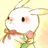 す